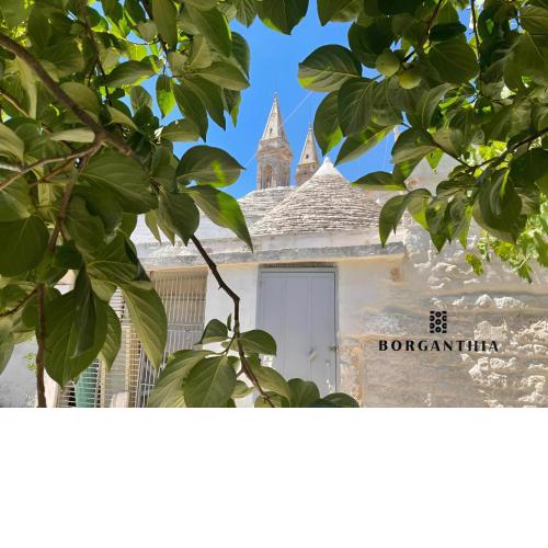 BORGANTHIA - IL CHIOSTRO DEI MEDICI
