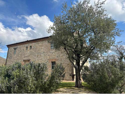 Borgo Cardaneto
