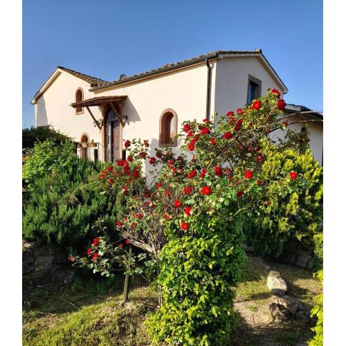 Borgo de' Muracci