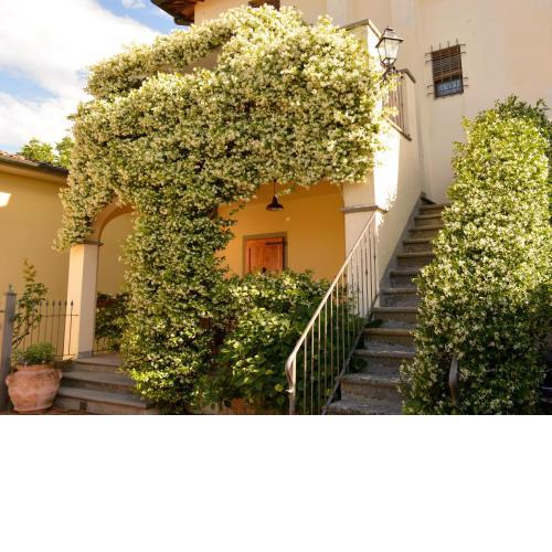 Borgo dei Cadolingi