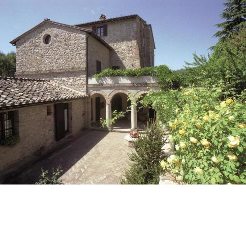 Borgo Petrarca Frantoio