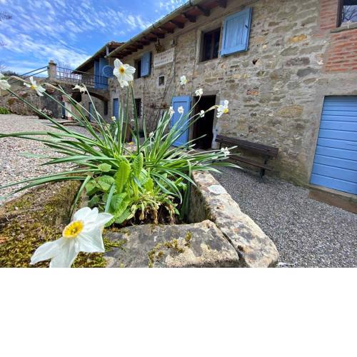 Borgo Ripiattelli