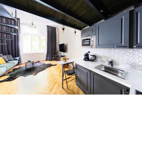 Boris' apartments Designer's Industrial Loft in Karlín