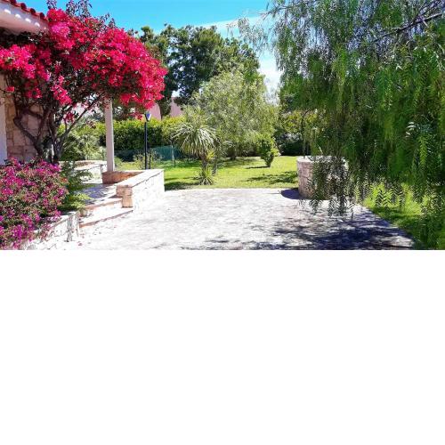 BouganVilla