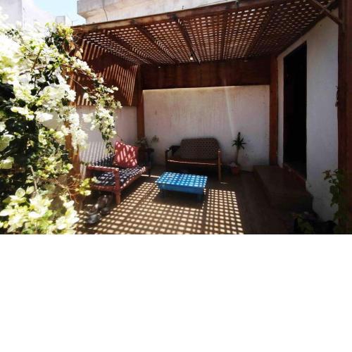 Bouganville Dahab