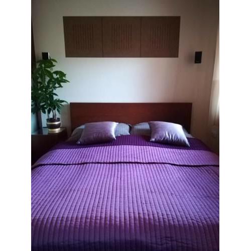 Boutique Apartman Gyula