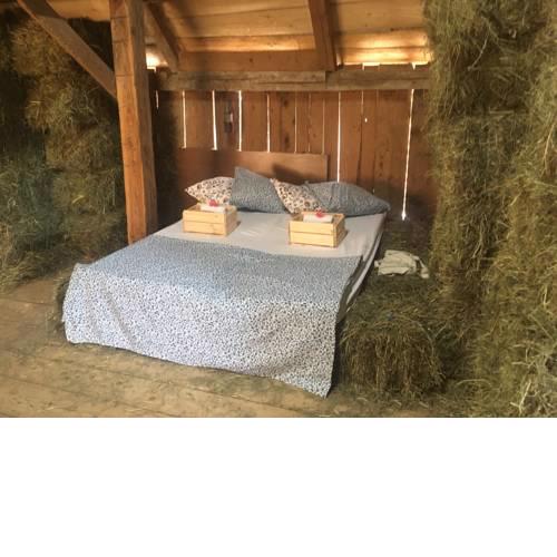 Boutique Ranch Bohinj