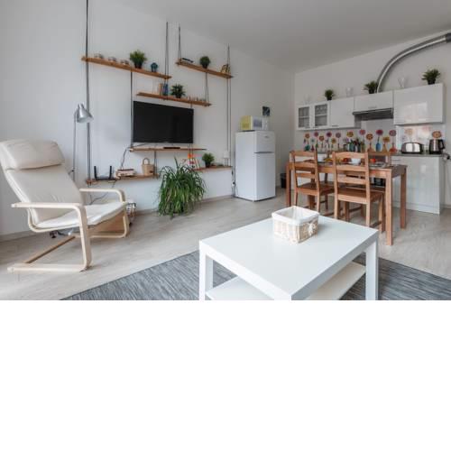 BRAND NEW and Sunny Apt. with Netflix