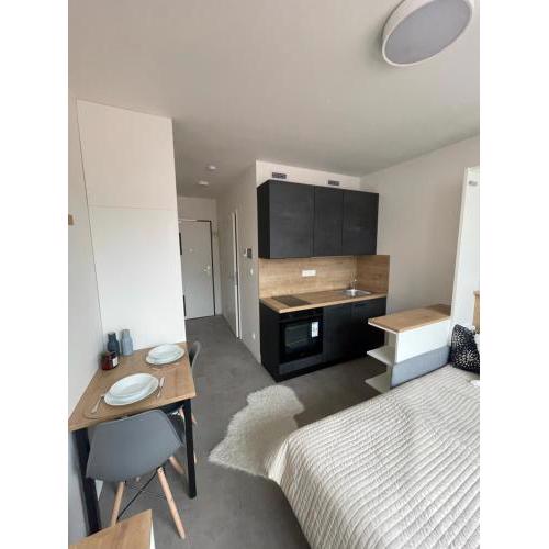 Brand new appartment in Smíchov