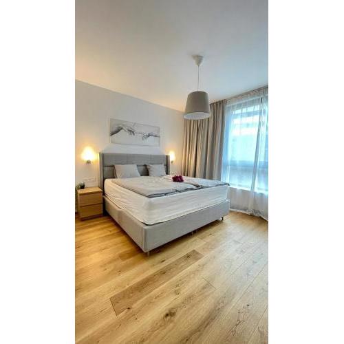 Brand new cozy apartment and free street parking