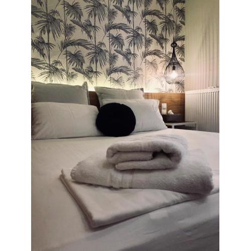 Brand new Cozy Studio - Heart of City