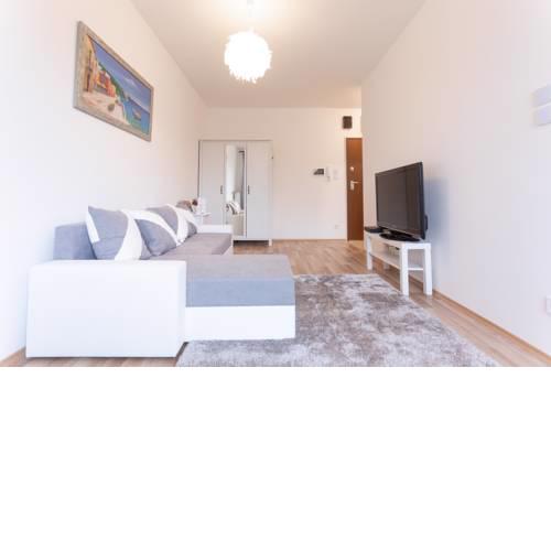 BRAND NEW PREMIUM FLAT IN DOWNTOWN