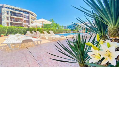 Bratanov Kasandra Sunny Beach