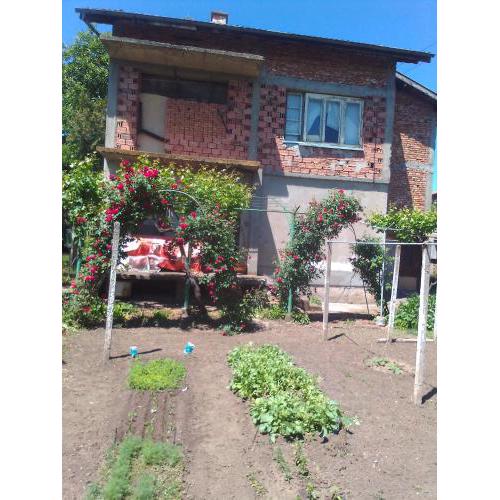 Brazilian and Bulgarian B & B Knezha