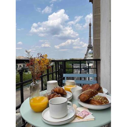 Breathtaking view of the Seine and Eiffel Tower
