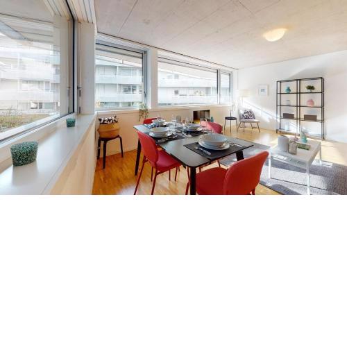 Bright and luminous 1 bedroom flat in downtown