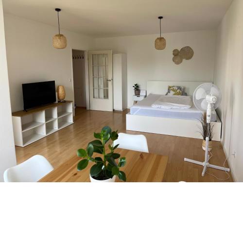 Bright apartment near city center in a quiet area