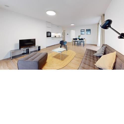 Bright & modern apartments in Sion