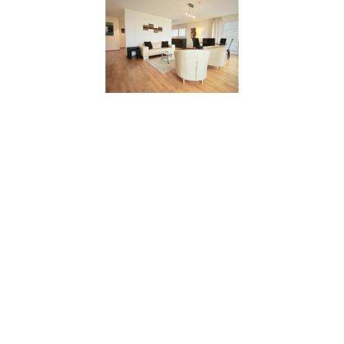 Bright spacious and modern apartment with terrace