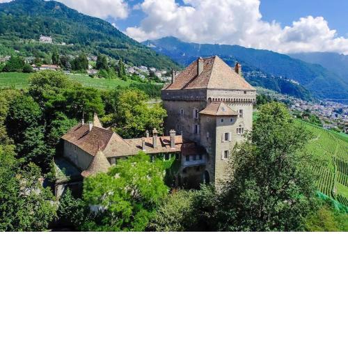 Brilliant apartment in Château du Châtelard