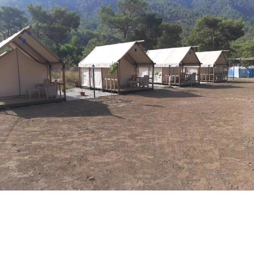 Bro's Camping
