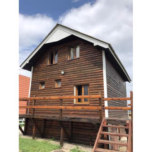 Brown bear lodge 1