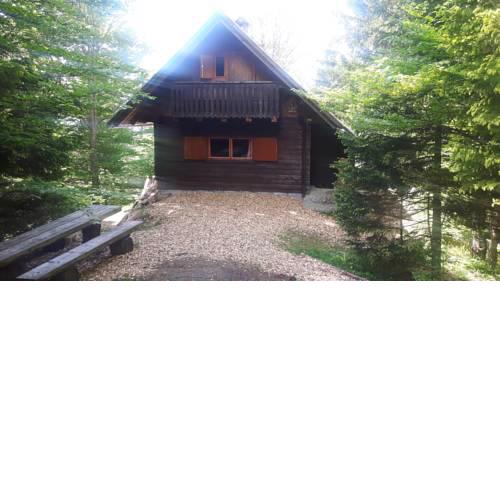 Brunarica Sova-Chalet Owl