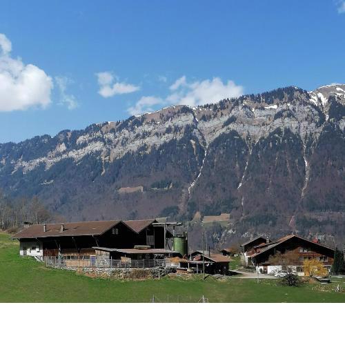 Brunners harzerhof