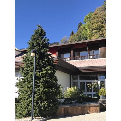 Budget Rooms Gstaad