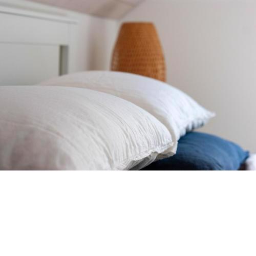 Budget rooms Pilatusbahn - Alpnachstad