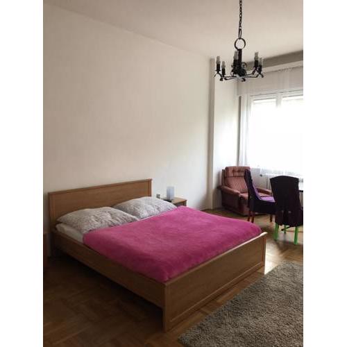 Budjet apartment in the heart of Budapest