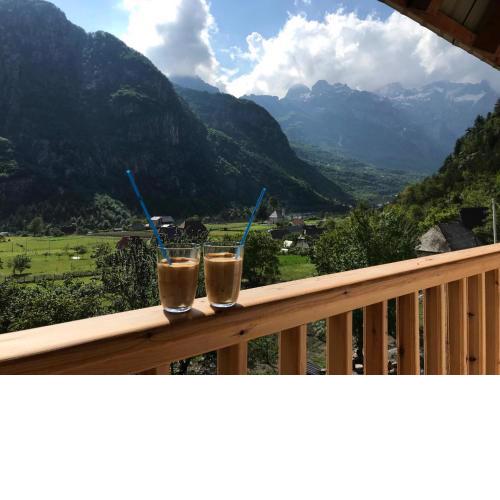Bujtina Ziçi
