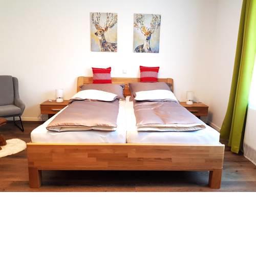 Business Apartments am Muehlbach