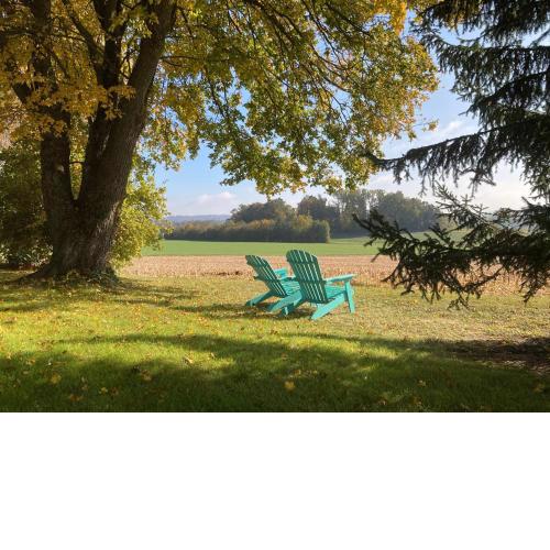 Büsingen am Hochrhein Radfahren, Wandern, Natur geniessen