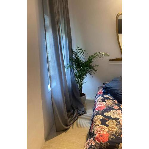 Buti Rooms