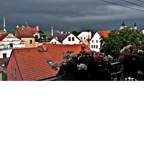 Byt na Starém městě v Pardubicích