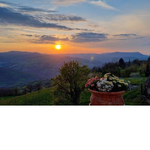 Ca' del Conte