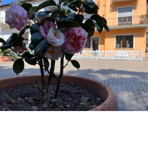 Cà del Fili