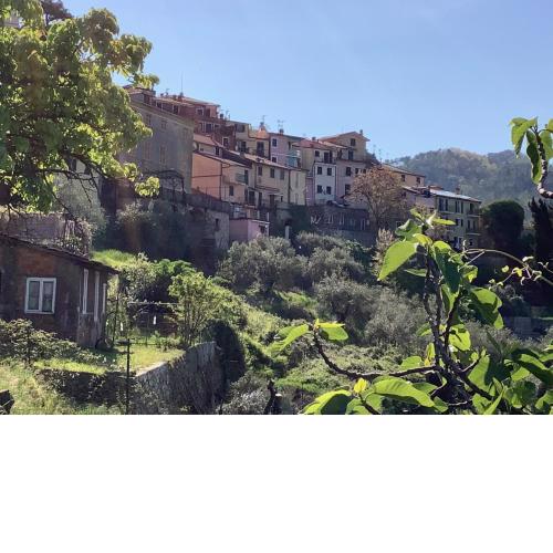 CA' RONDINE