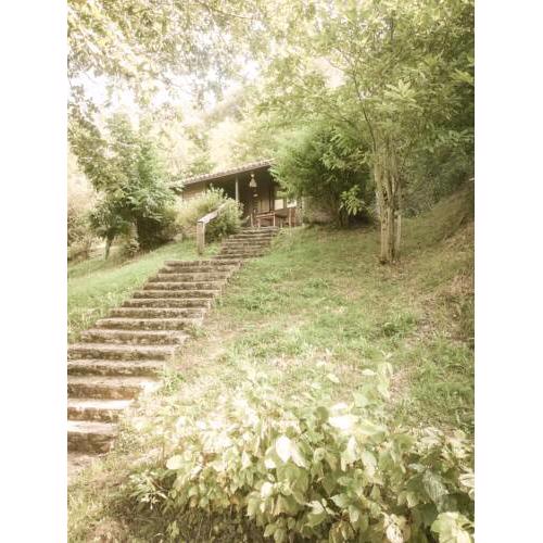 Cabañas en el Bosque - Adults Only