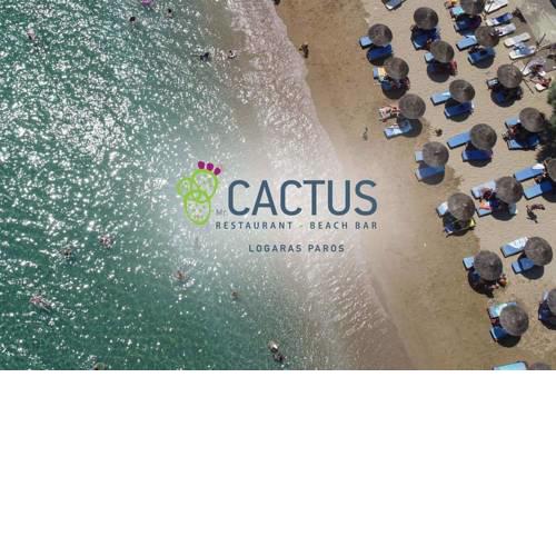 cactus beach paros