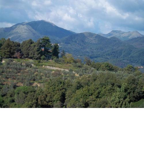 Caddelovi