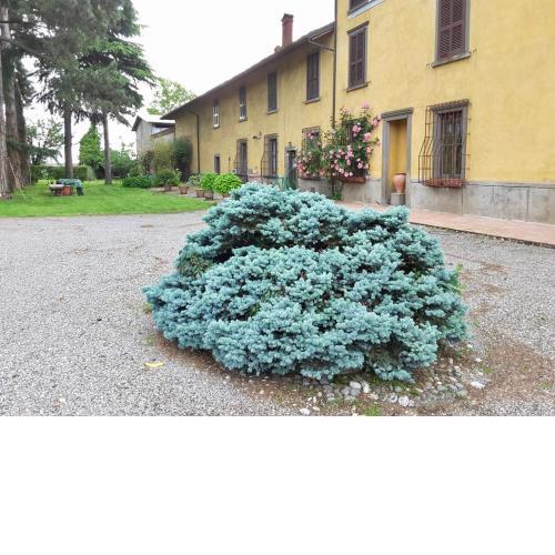 Cadepaoli Vineyard & Roses - Bergamo Countryside
