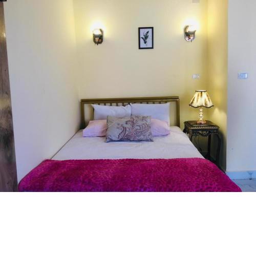 Cairo Lodge Hostel