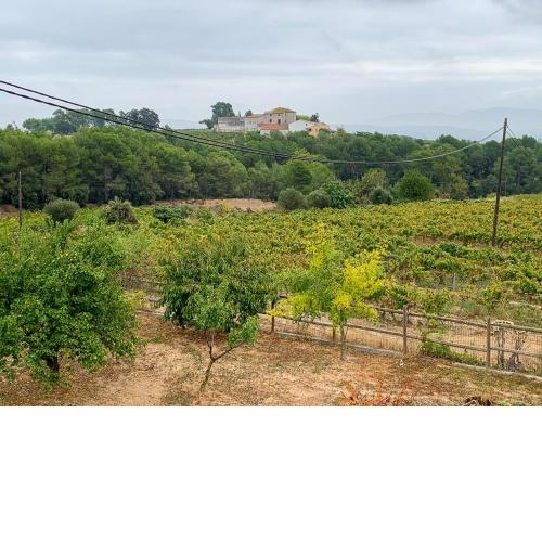 Cal Mag farmhouse in Guardiola de Font-rub