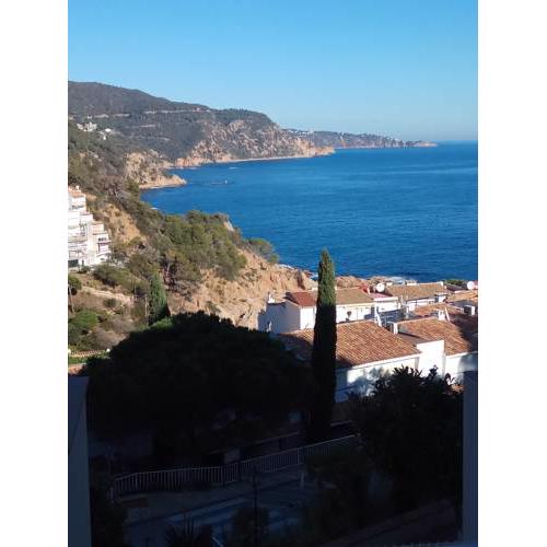 Cala Salions, Chalana I