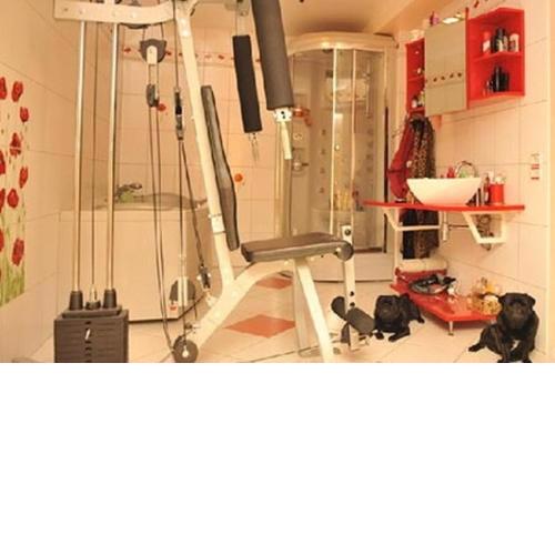 Calm & Cosy Flat in Perfect Location Nişantaşı