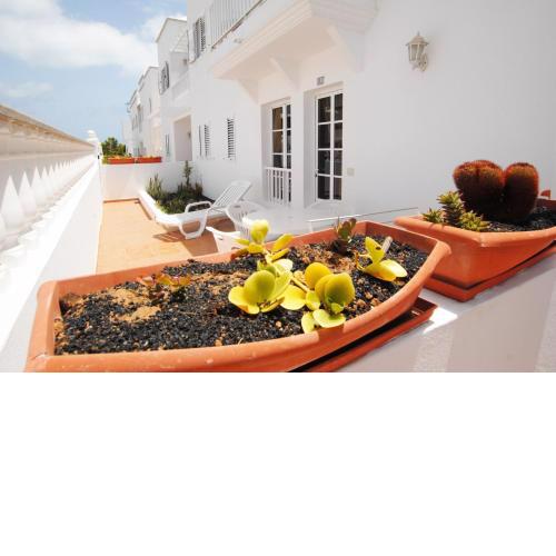 Calma Suites La Garita
