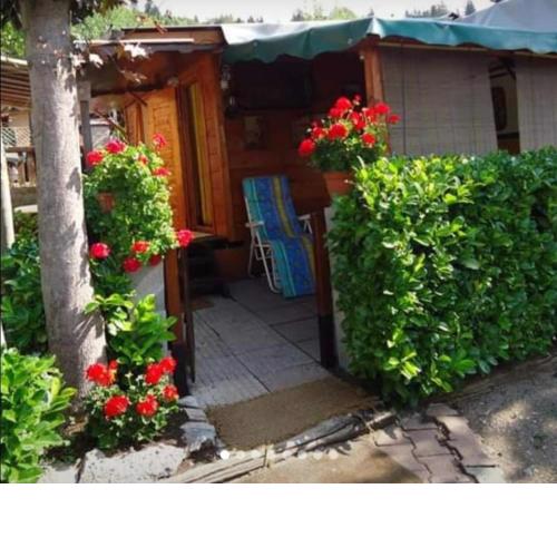 Camel Bungalow1Double Bed 2Single Bed Mountain-BG