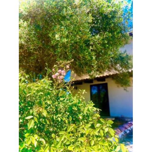 Camera Villa Sarda Aurora